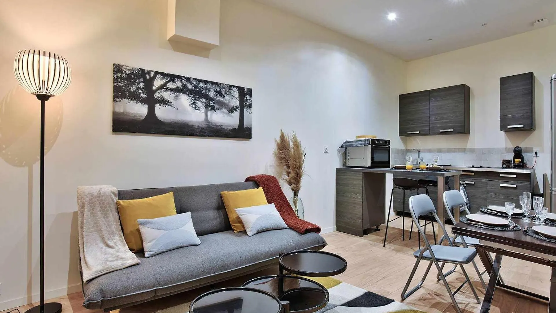Cozy Confort Villeurbanne 0*,  France
